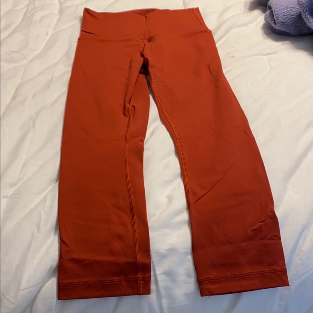 Orange lulu wunder under crops